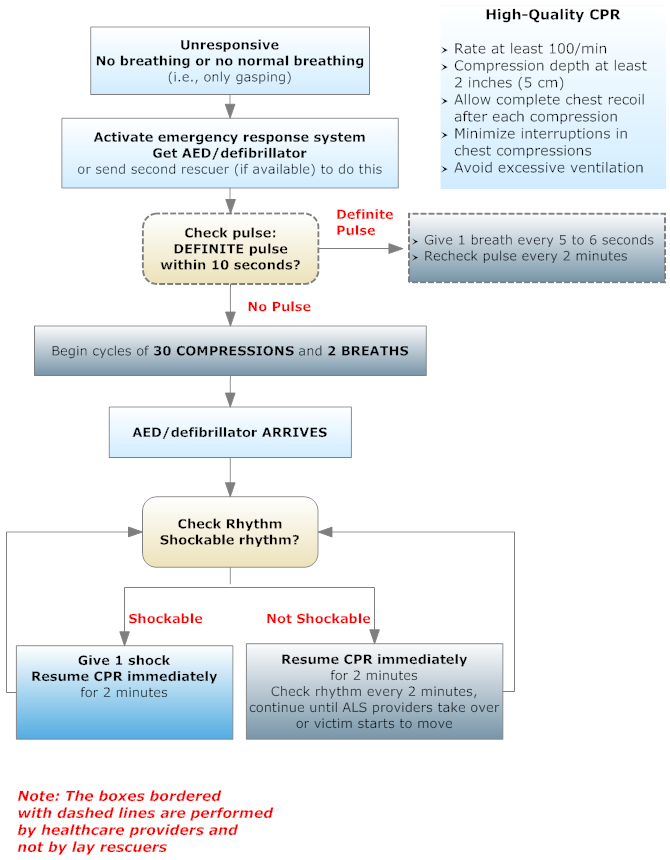 Basic life support algorithm