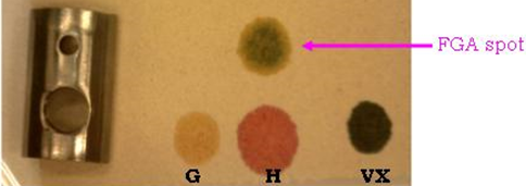 Liquid FGA on M8 Paper - 10 minutes